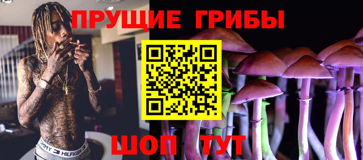 Псилоцибиновые грибы прущие грибы  Галлюциногенные грибы Psilocybine cubensis  Ржев  Вход с VPN 